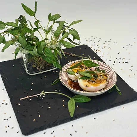 Mungobohne auf einem Ei mit einem Behätnis voller Microgreens auf einer Schieferplatte